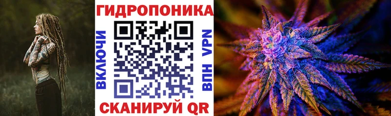Бошки марихуана OG Kush  Купить  Гдов 